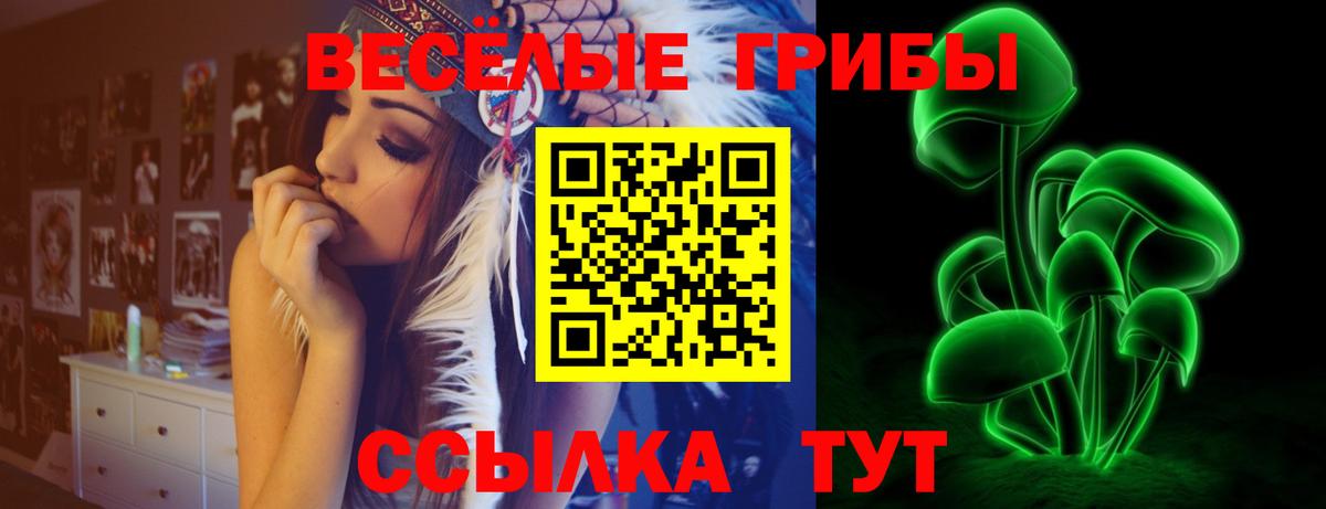 Псилоцибиновые грибы Psilocybe  Вход с VPN  Балашиха 